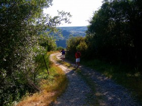 SENDA -4 CAÑONES DEL CARDENA Y SEGUNDERA